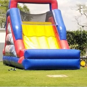 Spider Slide Castle