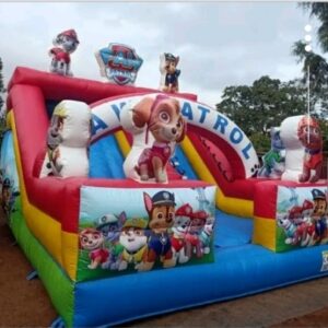 Paw Patrol Slide Castle